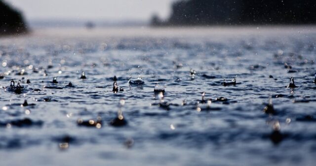media-img_0027