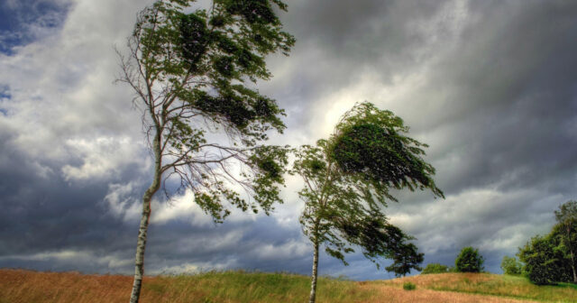 media-img_0798