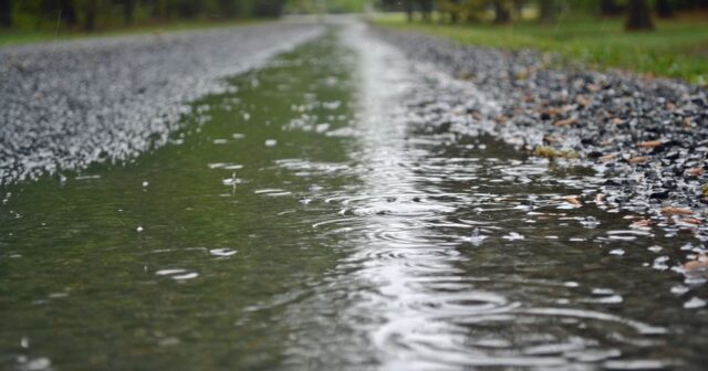 media-img_1595