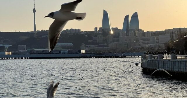 media-img_2244