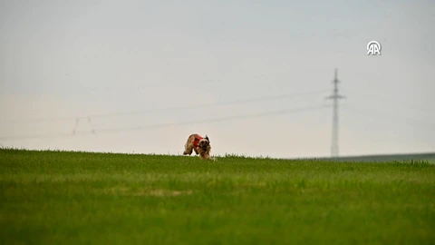 media-img_2300