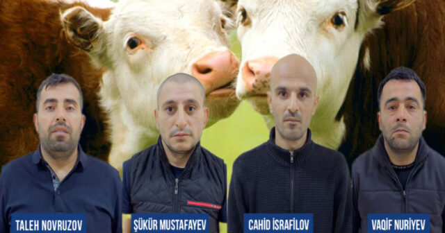 media-f4fad790-5ea5-4839-ac85-fd3107d9ccc1