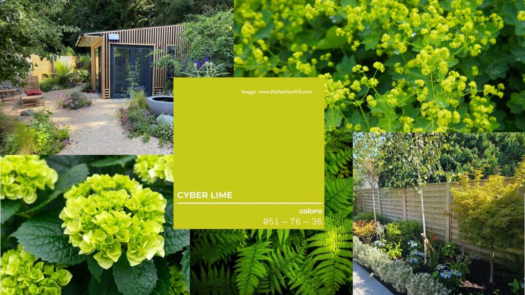 media-cyber-lime-colour-of-the-year-2024-1024x576