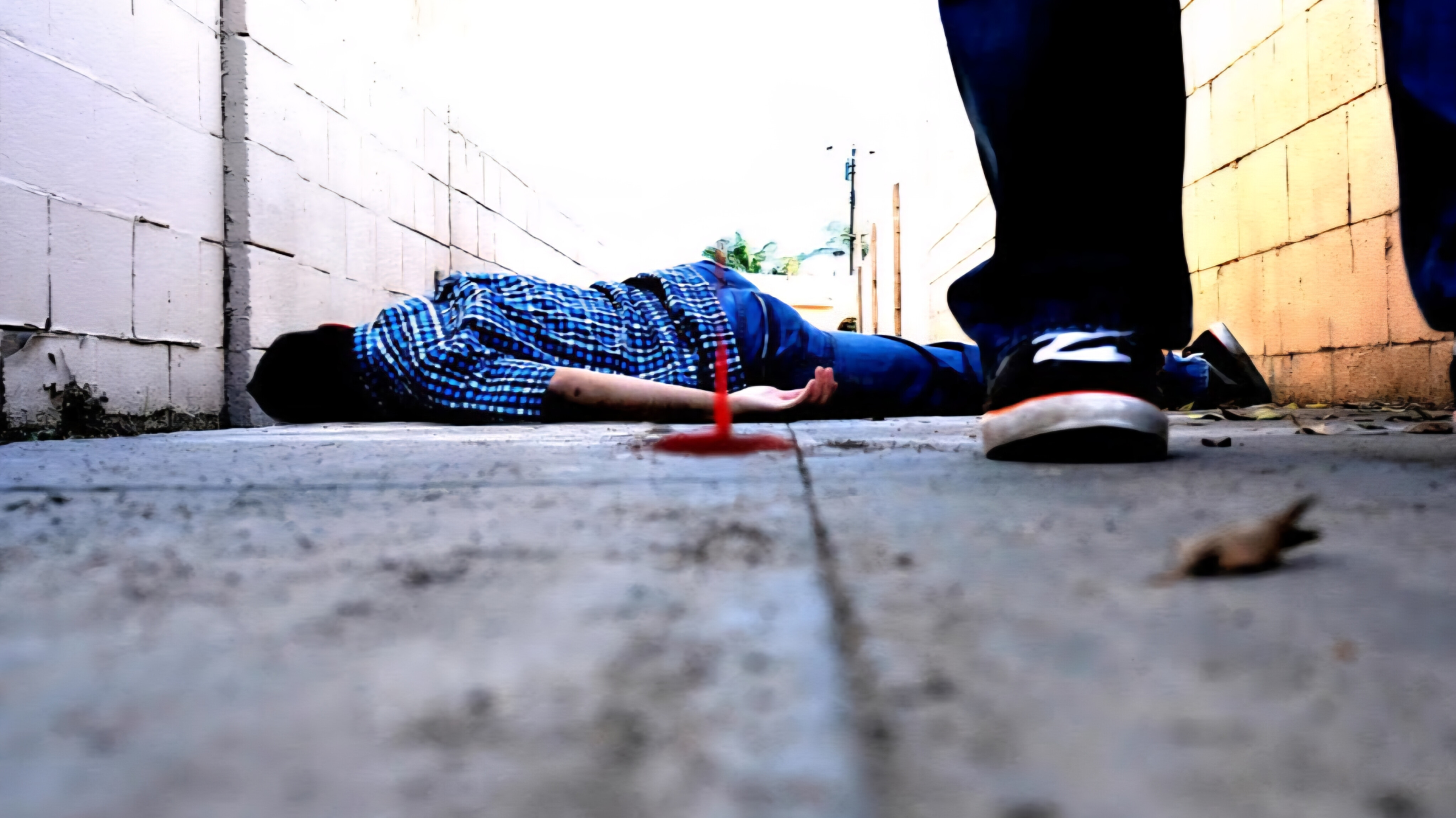 media-inshot_20250612_100331986