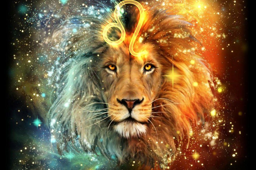 media-aslan-burcu-1706019338
