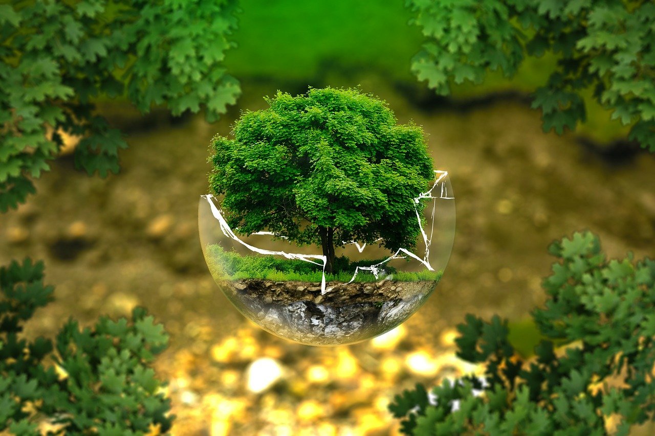 media-environmental-protection-326923_1280