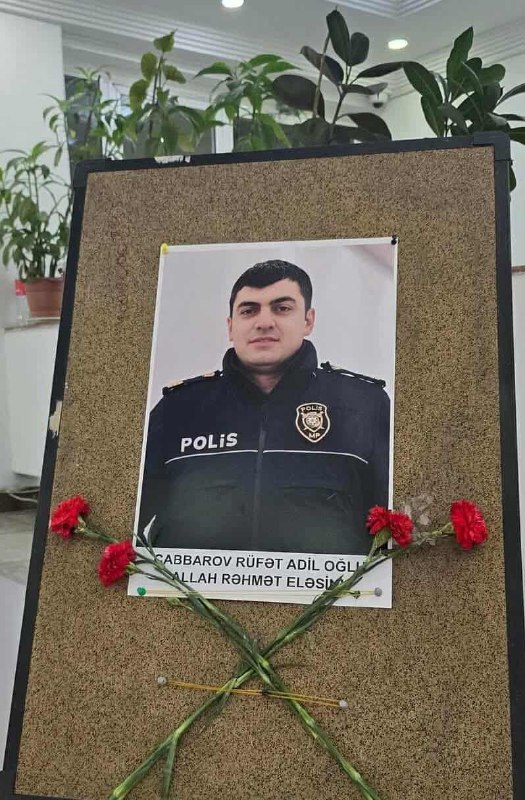 media-img_20250729_182516_881