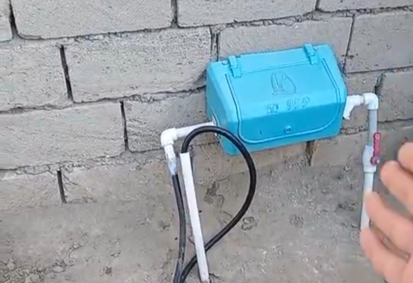 media-img_7055