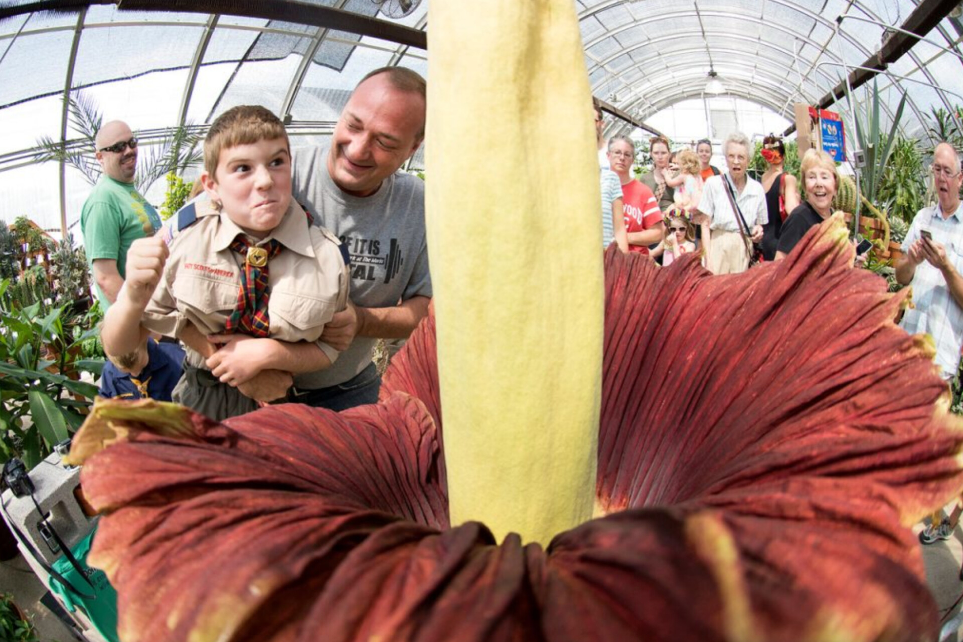 media-inshot_20250702_231643145
