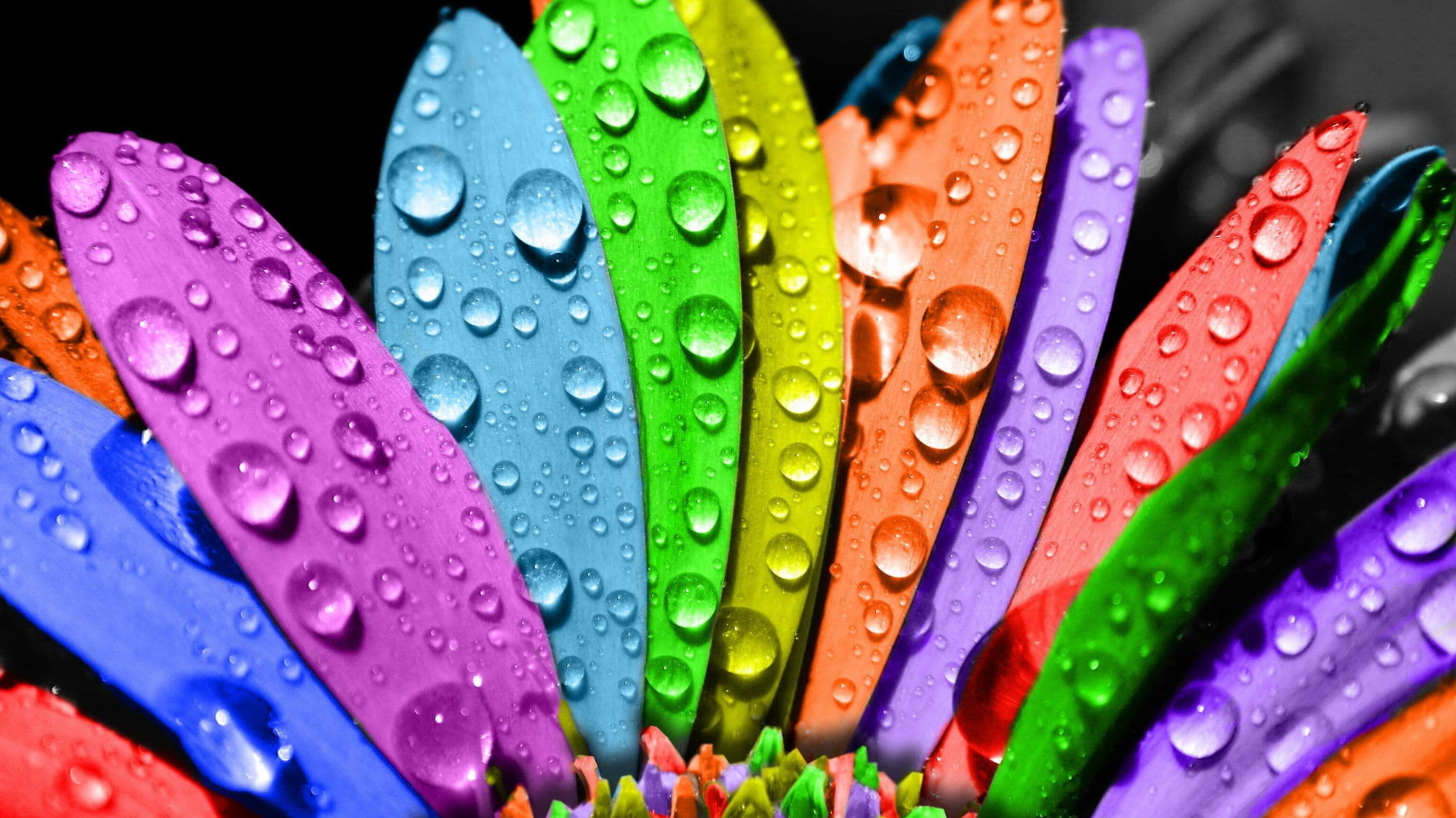 media-inshot_20250721_201402508