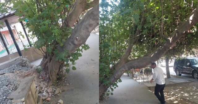 media-photo-output