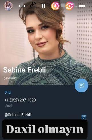 media-sebine1