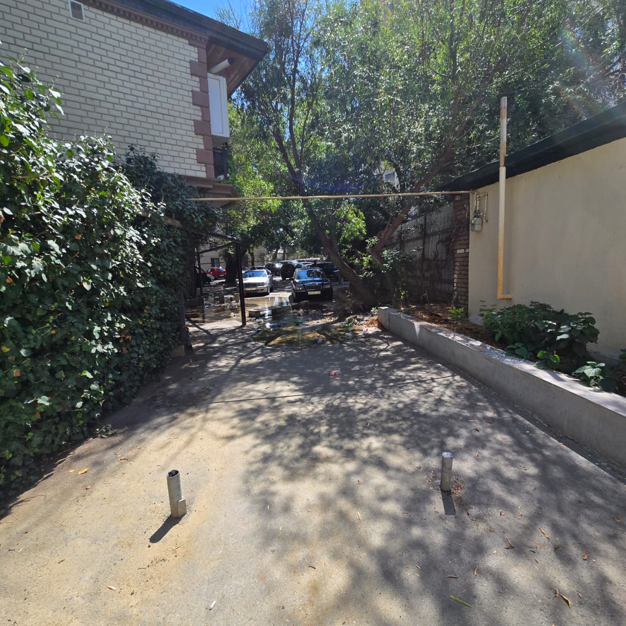 media-img-20250818-wa0024