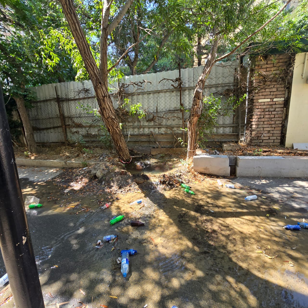 media-img-20250818-wa0025
