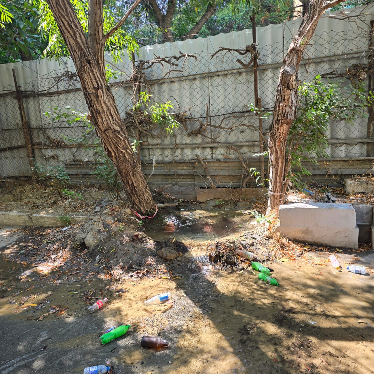 media-img-20250818-wa0027