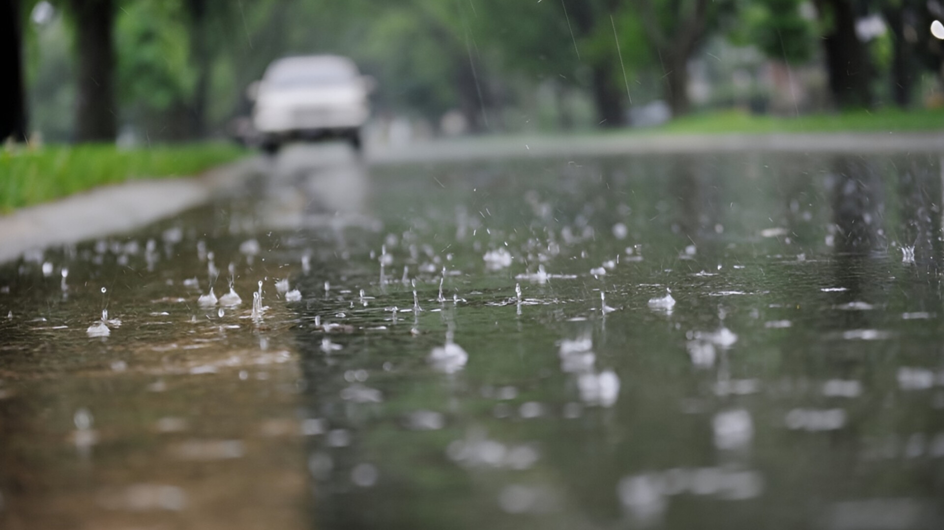 media-inshot_20250815_120950036
