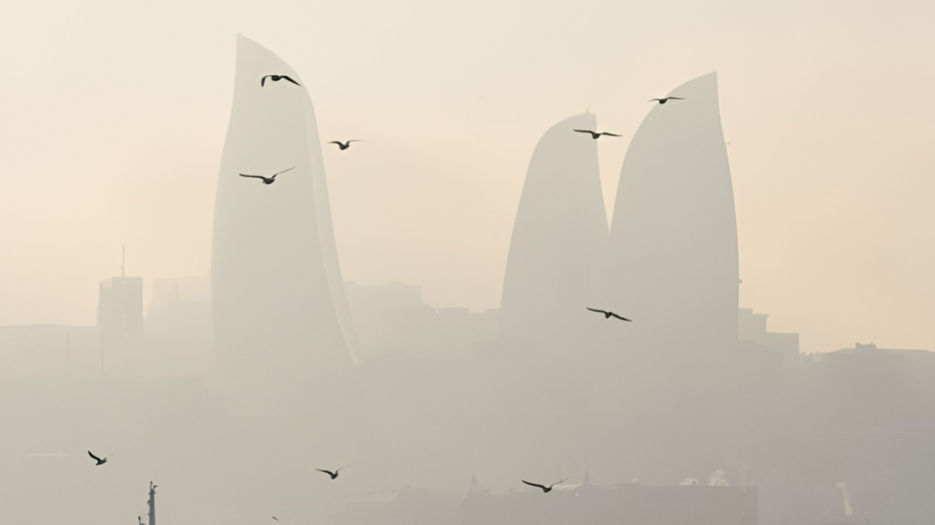 media-inshot_20250825_094318309