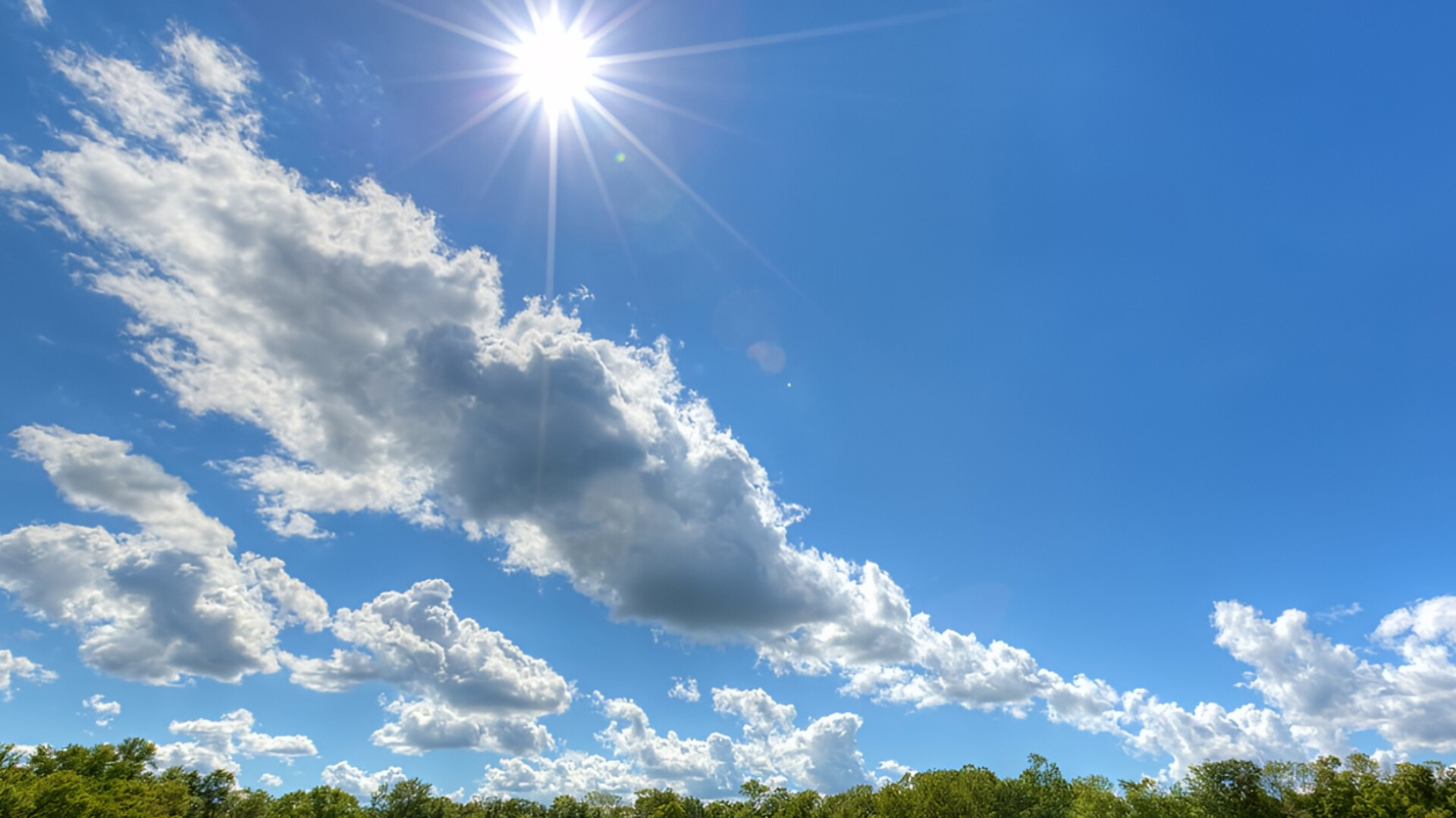 media-inshot_20250825_132919239
