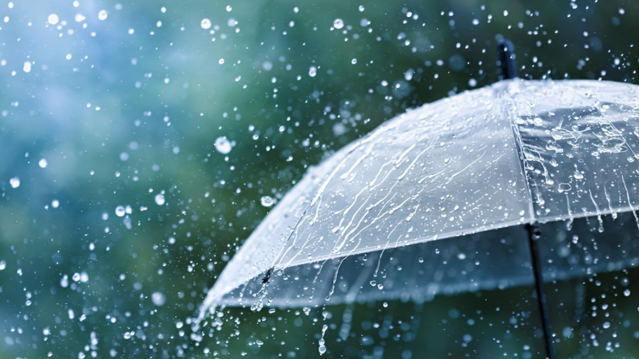media-inshot_20250904_125634315