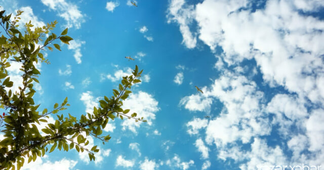 media-inshot_20250909_164929898