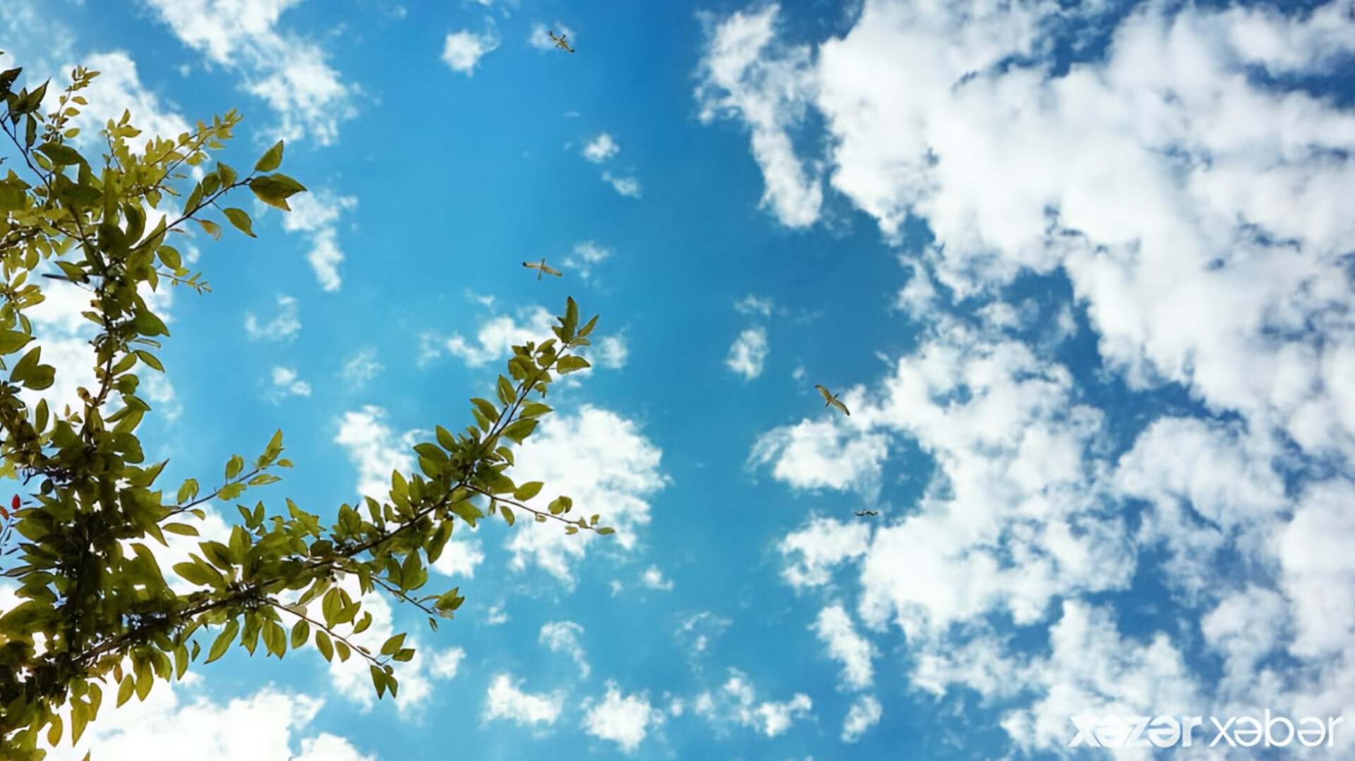 media-inshot_20250909_164929898