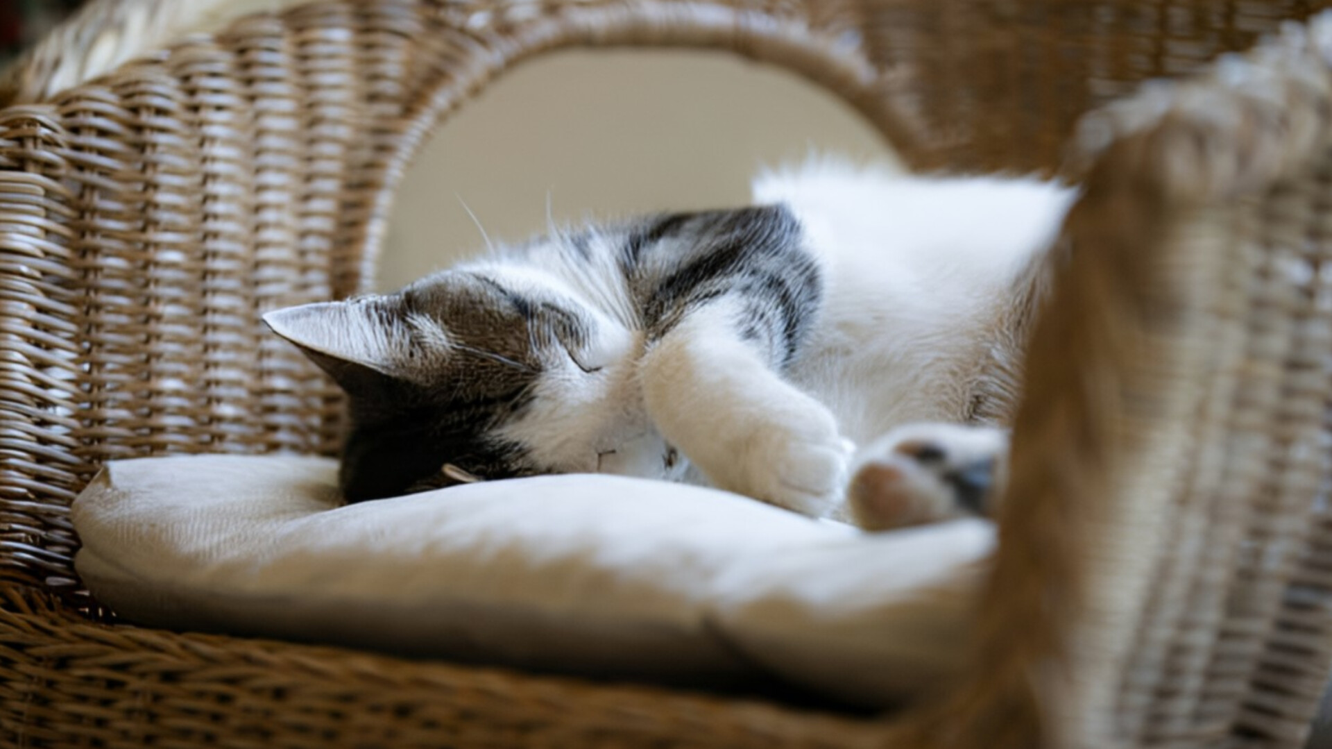 media-inshot_20250910_224708366