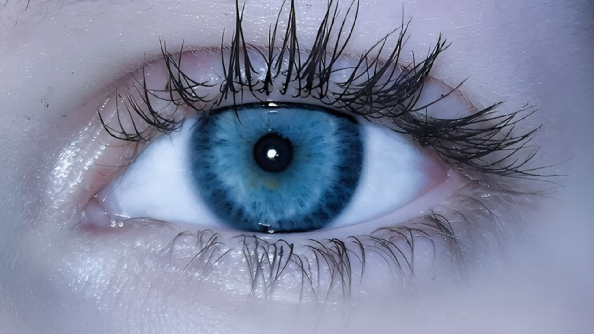 media-inshot_20250918_123223460