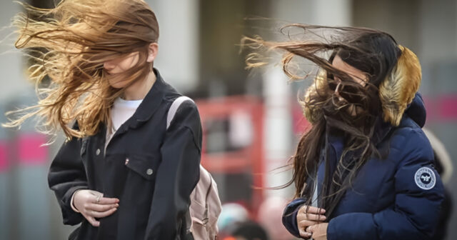 media-inshot_20250918_165421719