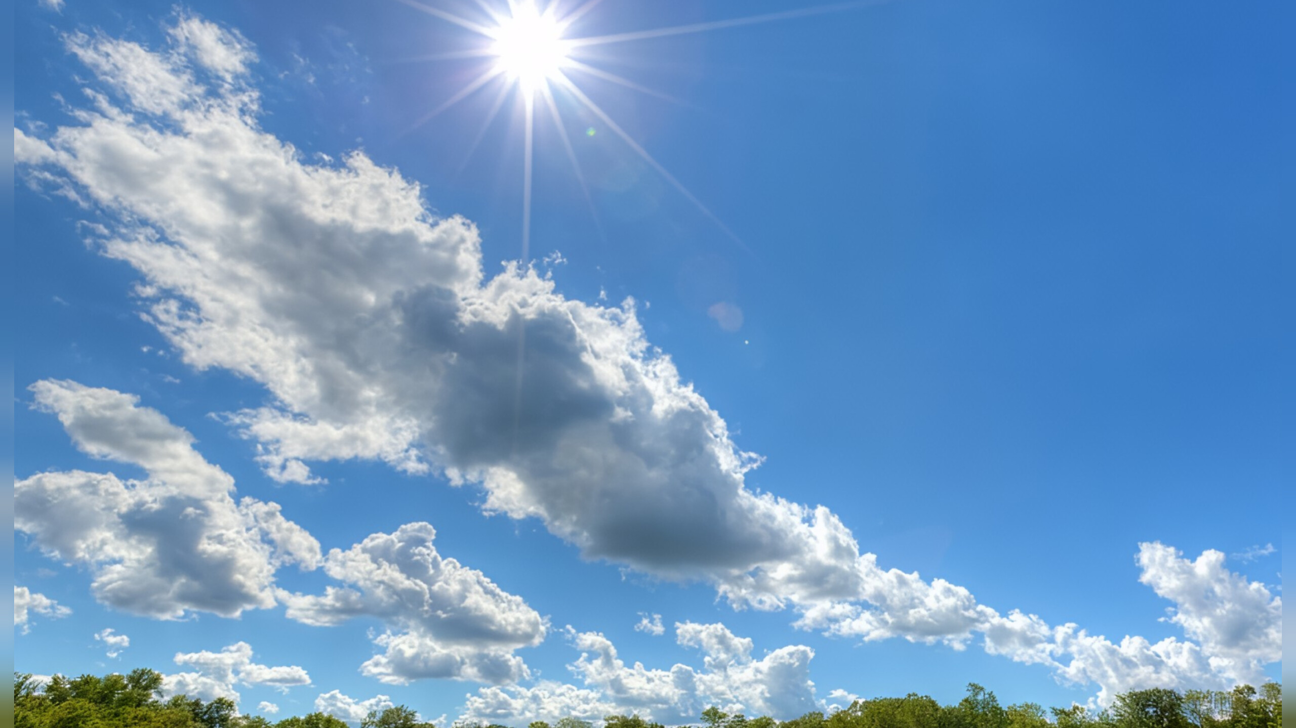 media-inshot_20250929_125004733