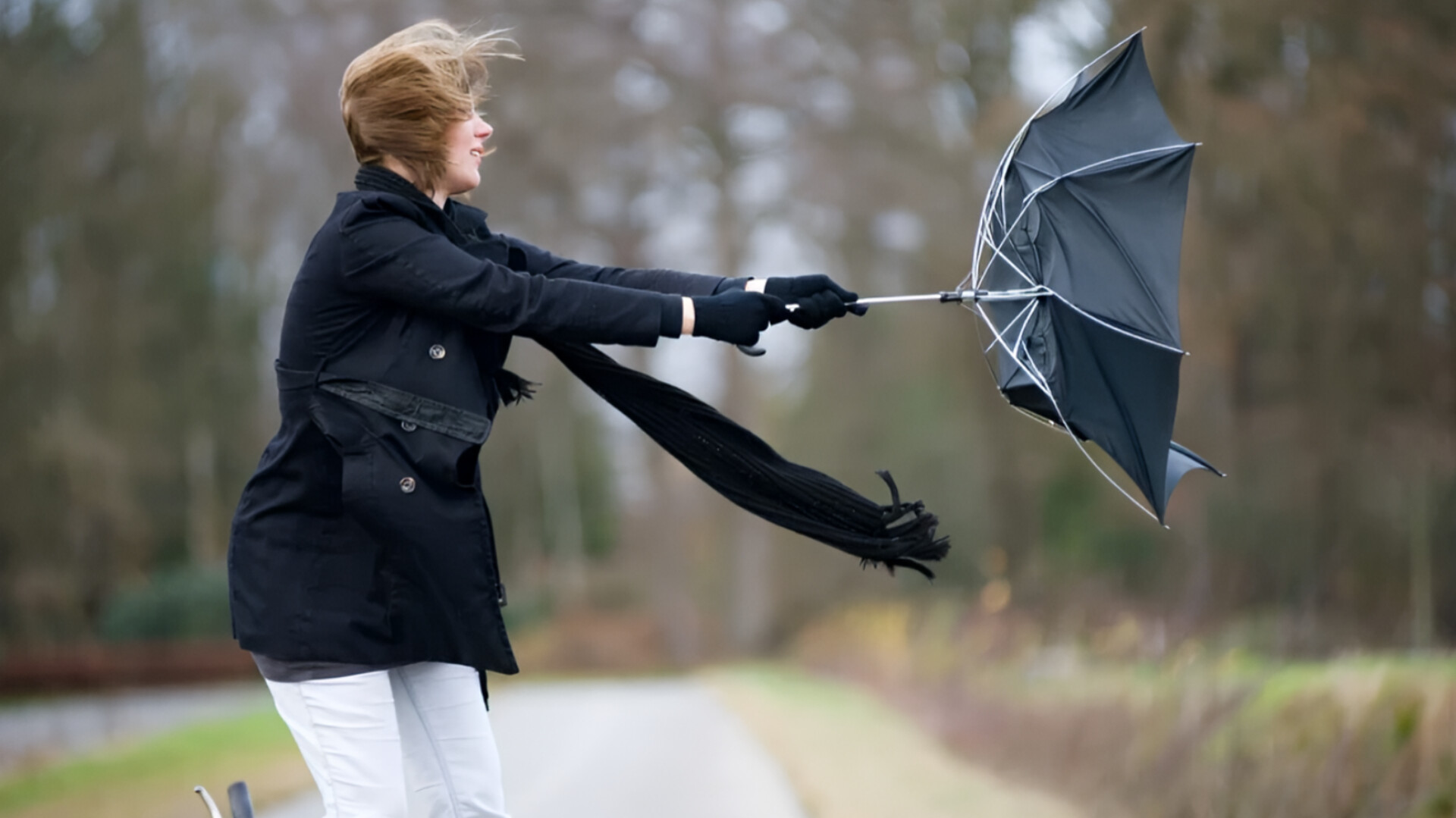 media-inshot_20250929_200914282