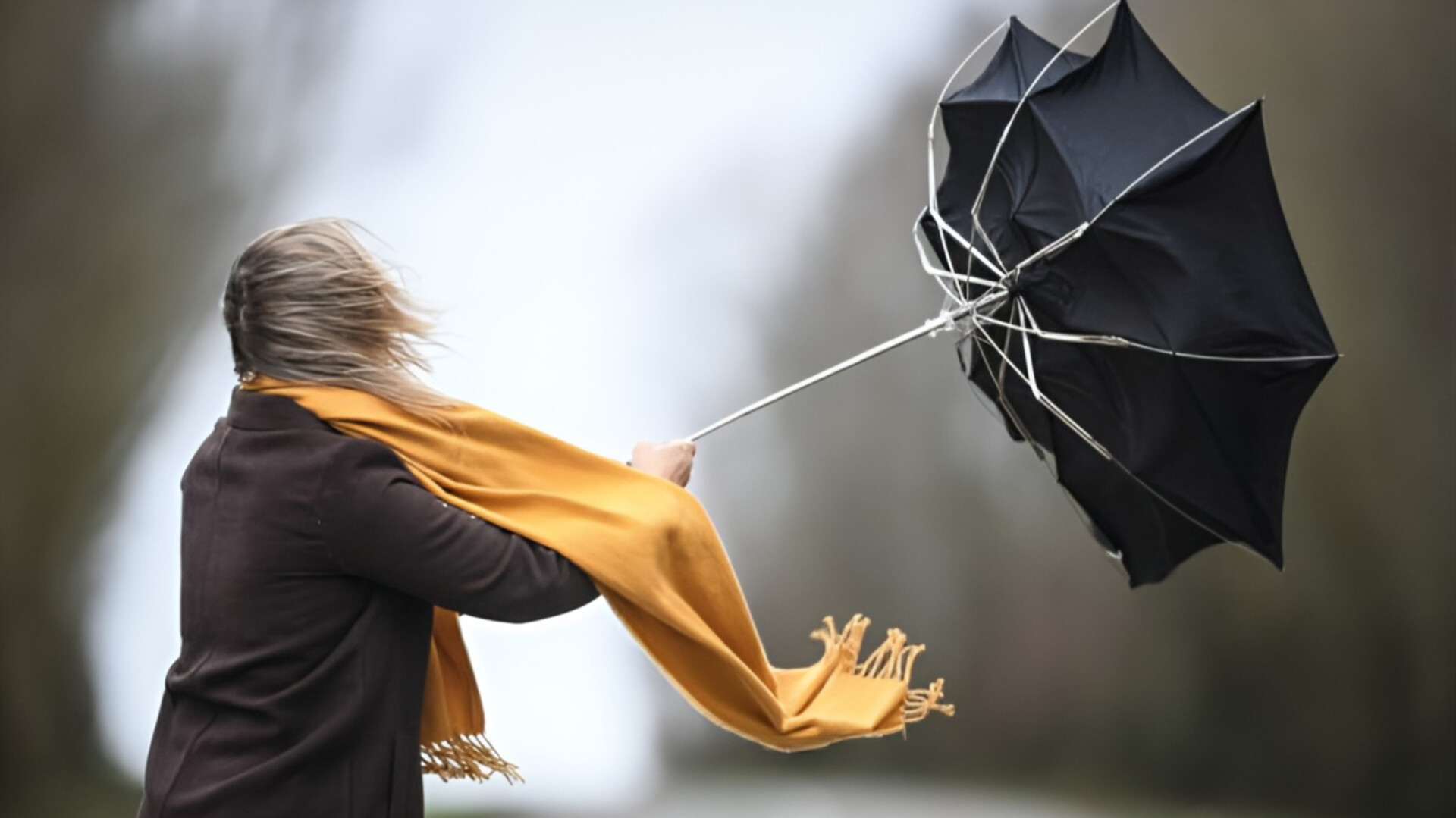 media-inshot_20250930_090355969