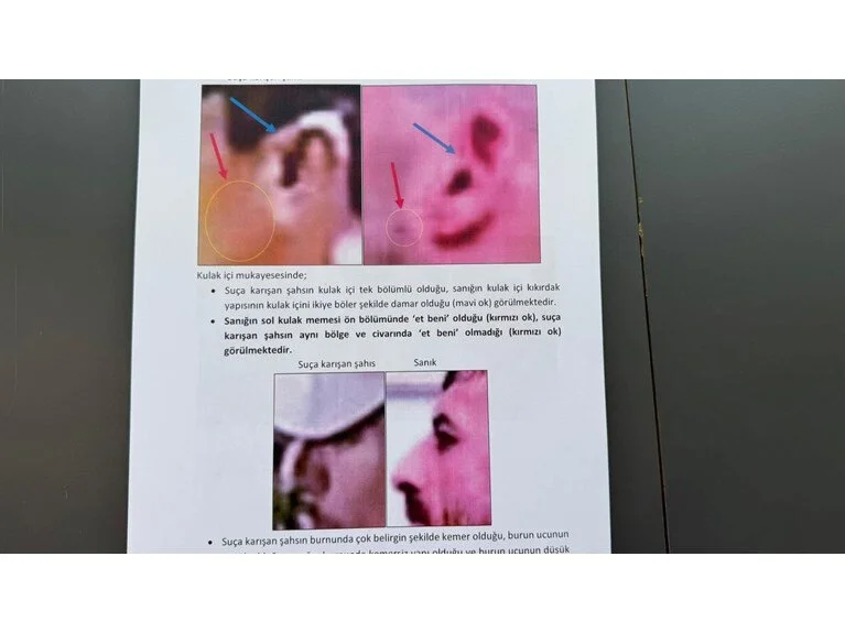 media-gxqtmdhlnu24fihzlky7vq