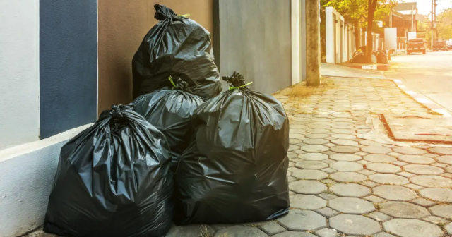 media-alternatives-to-plastic-trash-bags