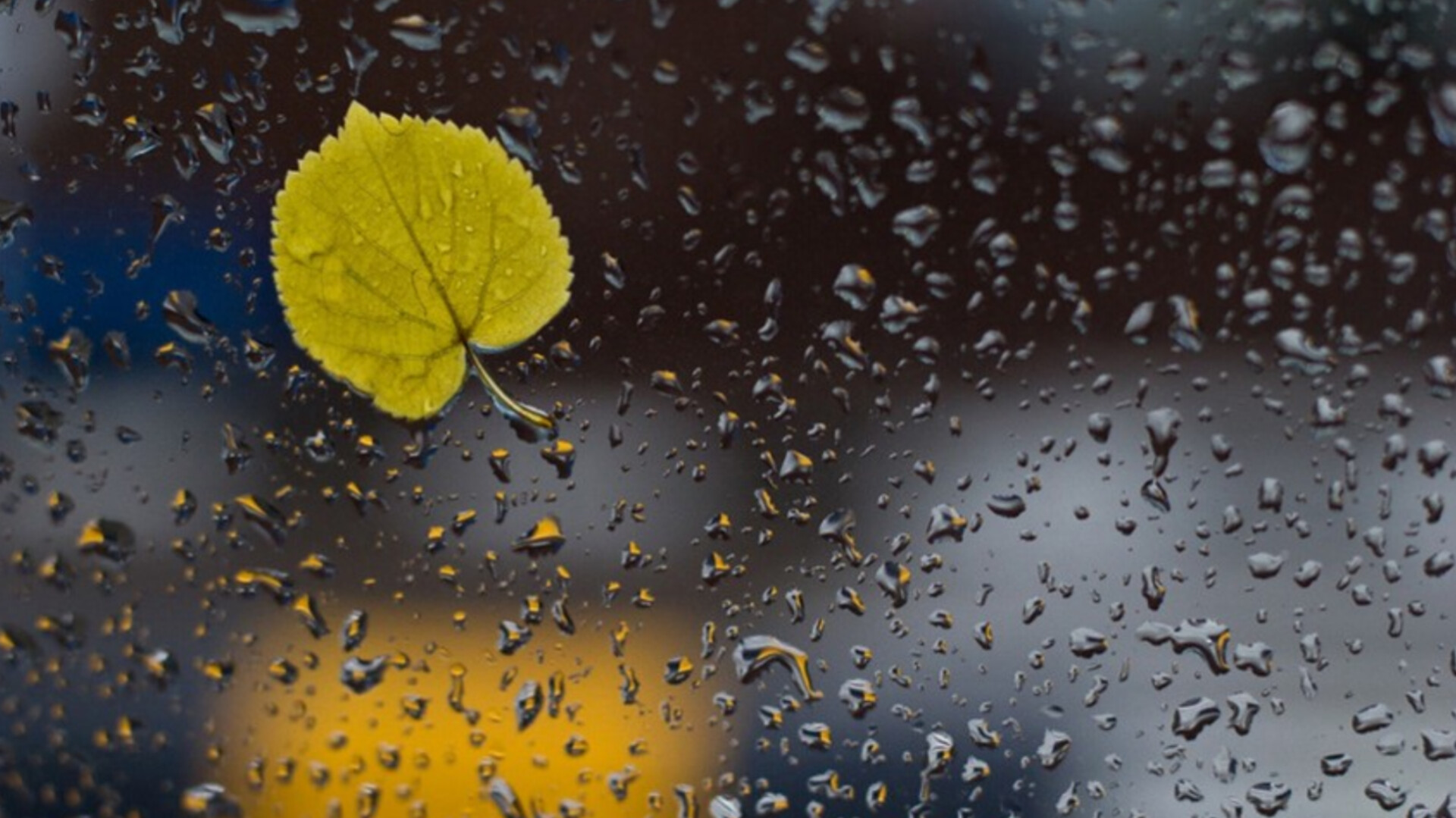 media-inshot_20251002_093039376