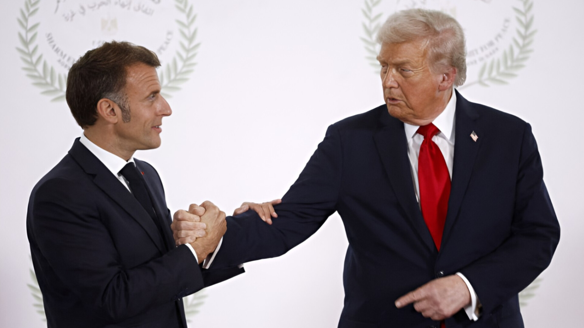 media-inshot_20251015_145225978