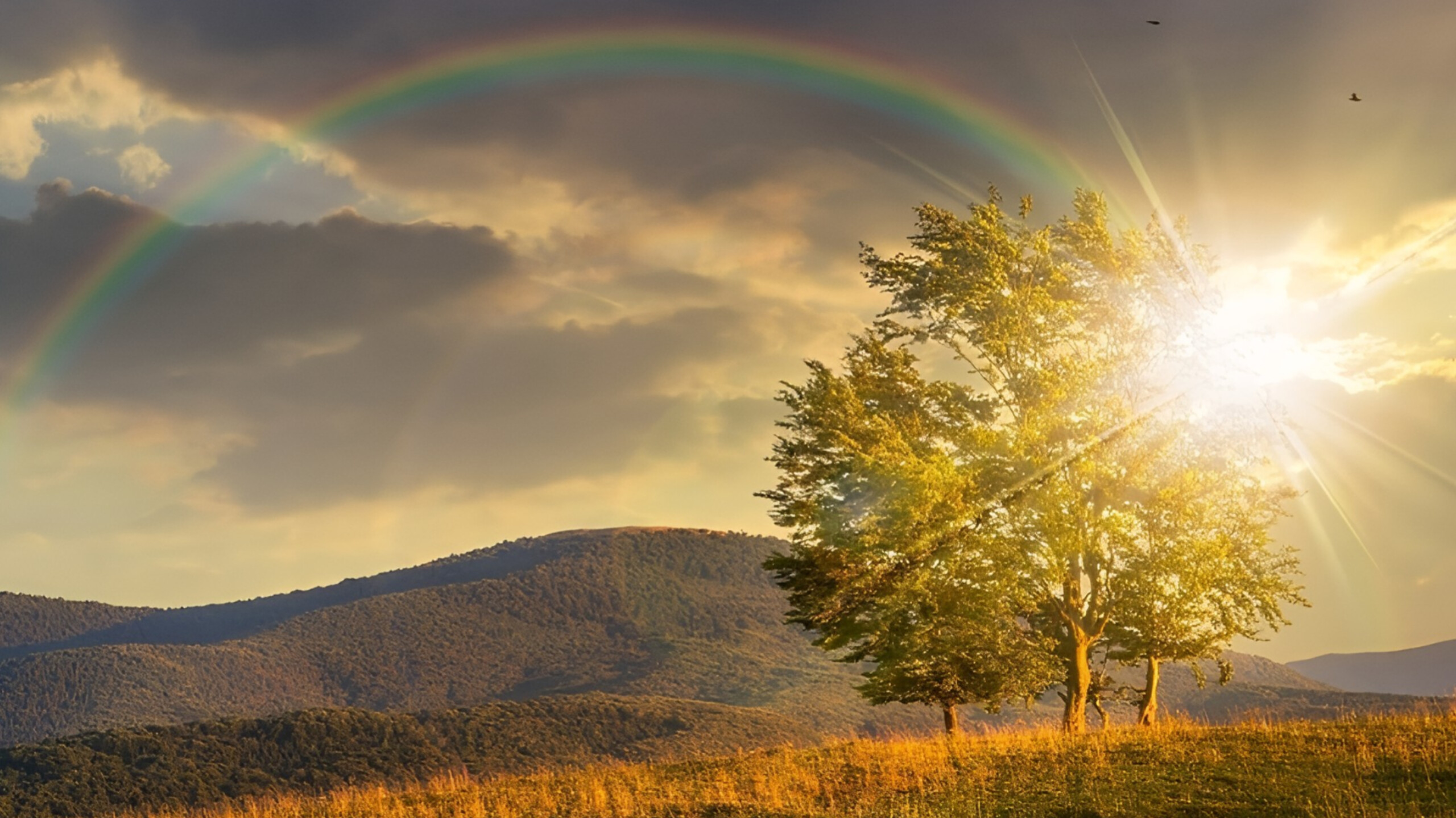 media-inshot_20251015_155154129