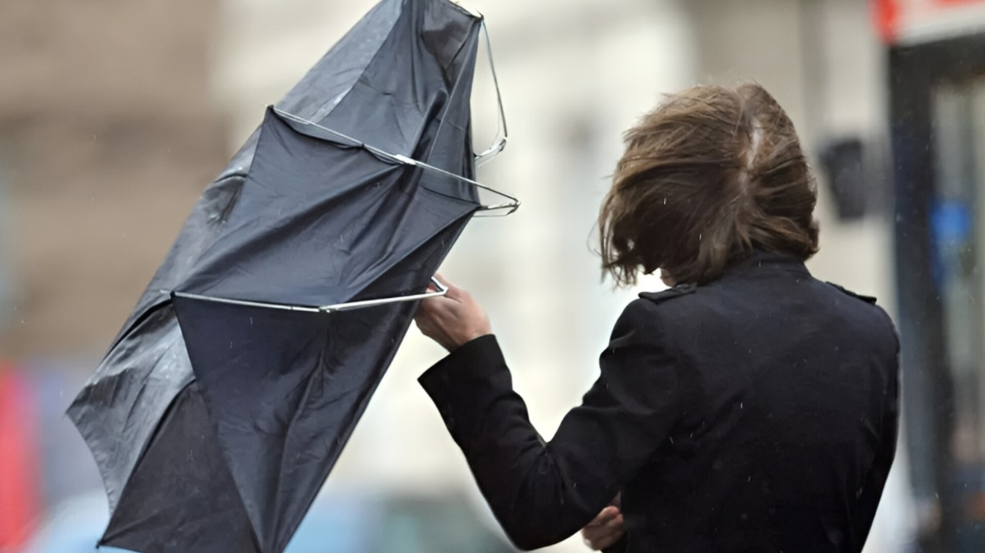 media-inshot_20251020_181104080