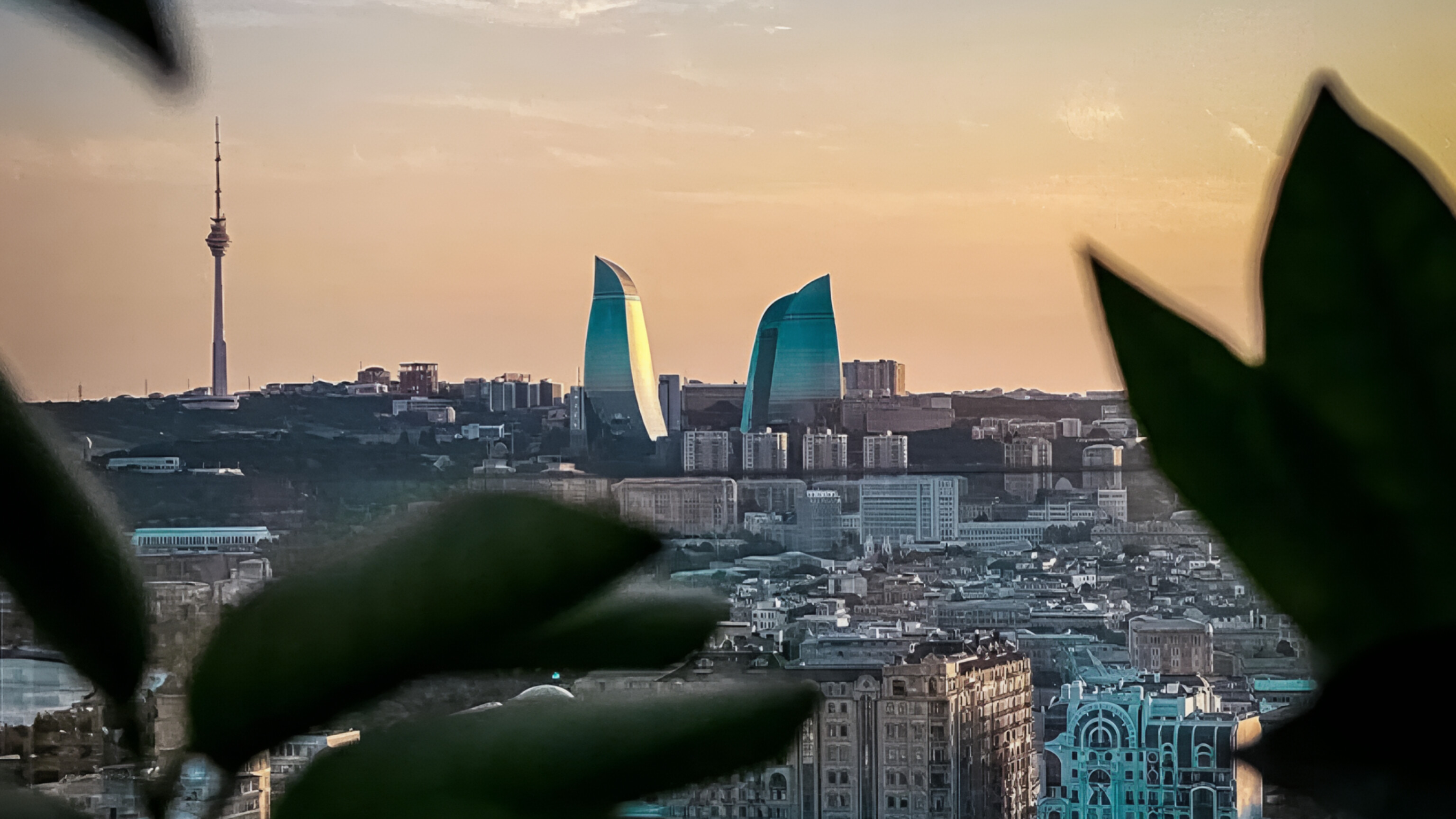 media-inshot_20251023_130905495
