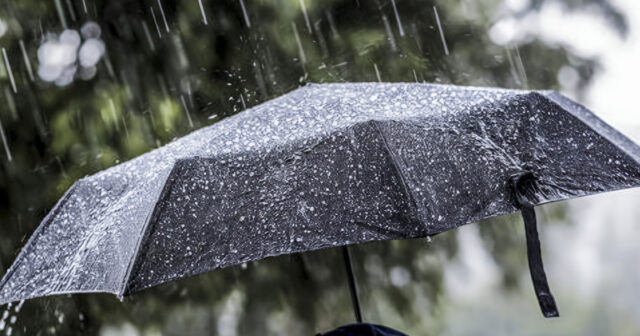 media-inshot_20251027_161814396