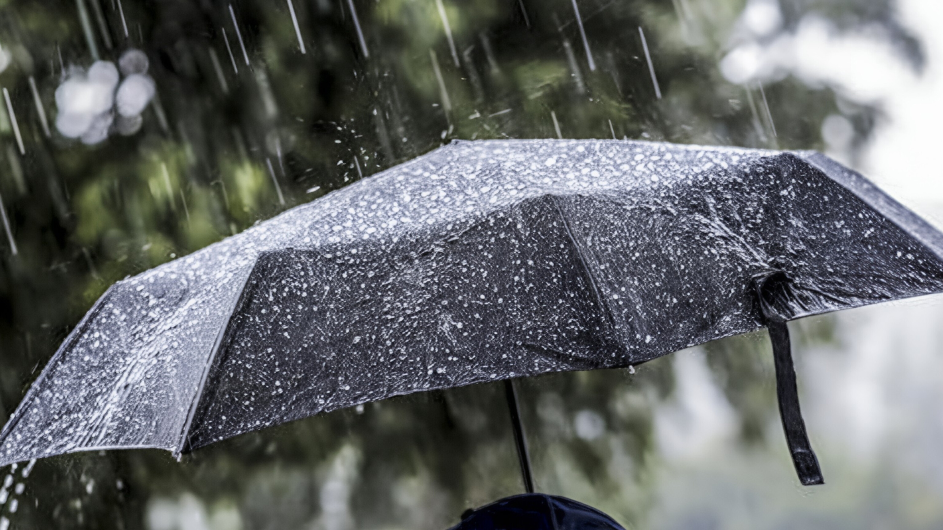 media-inshot_20251027_161814396
