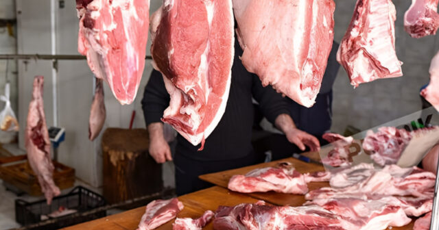 media-inshot_20251104_204314252