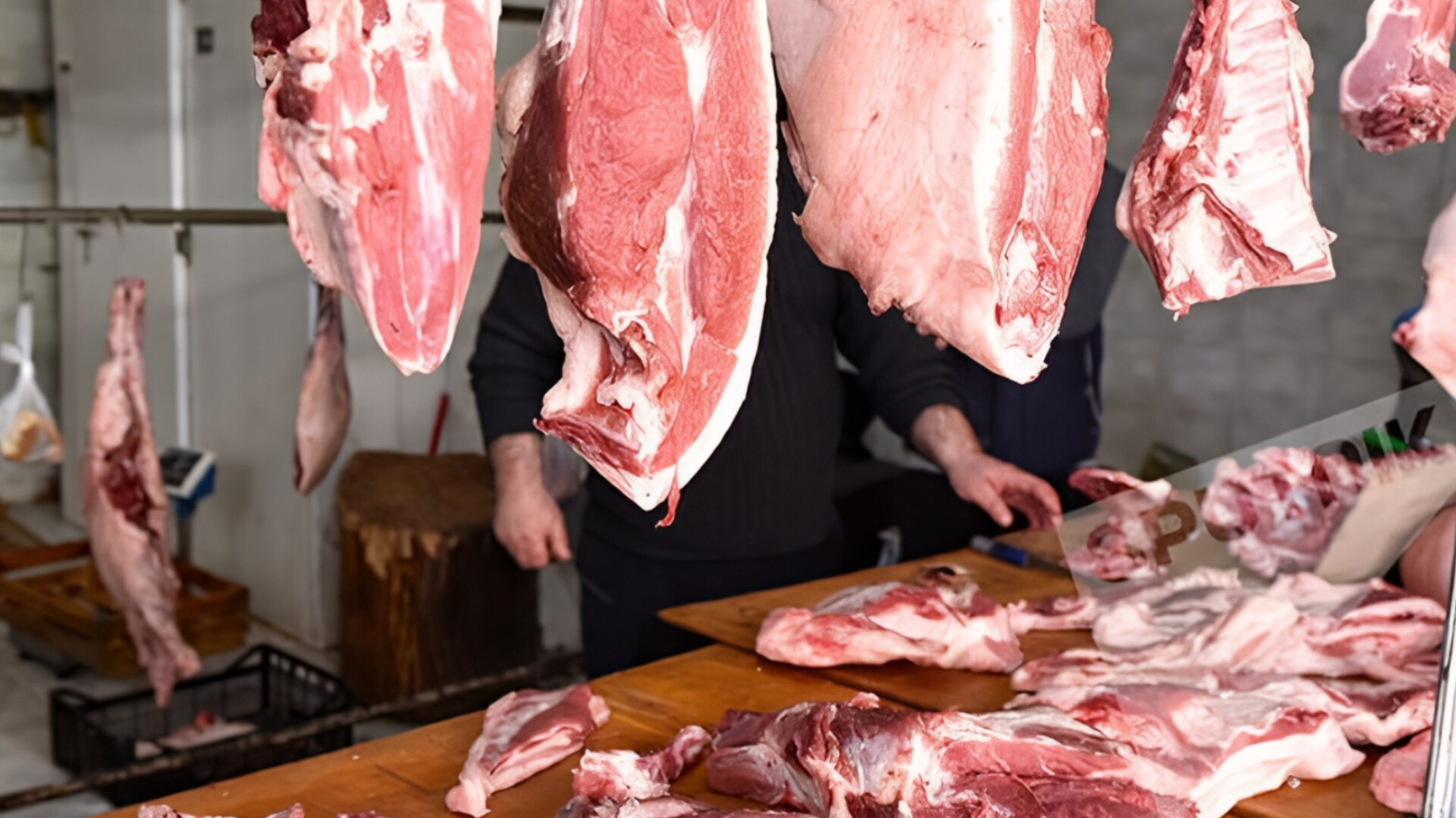 media-inshot_20251104_204314252