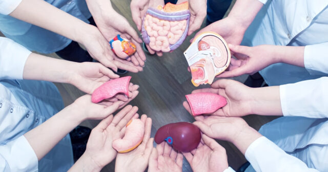 media-inshot_20251105_191636093