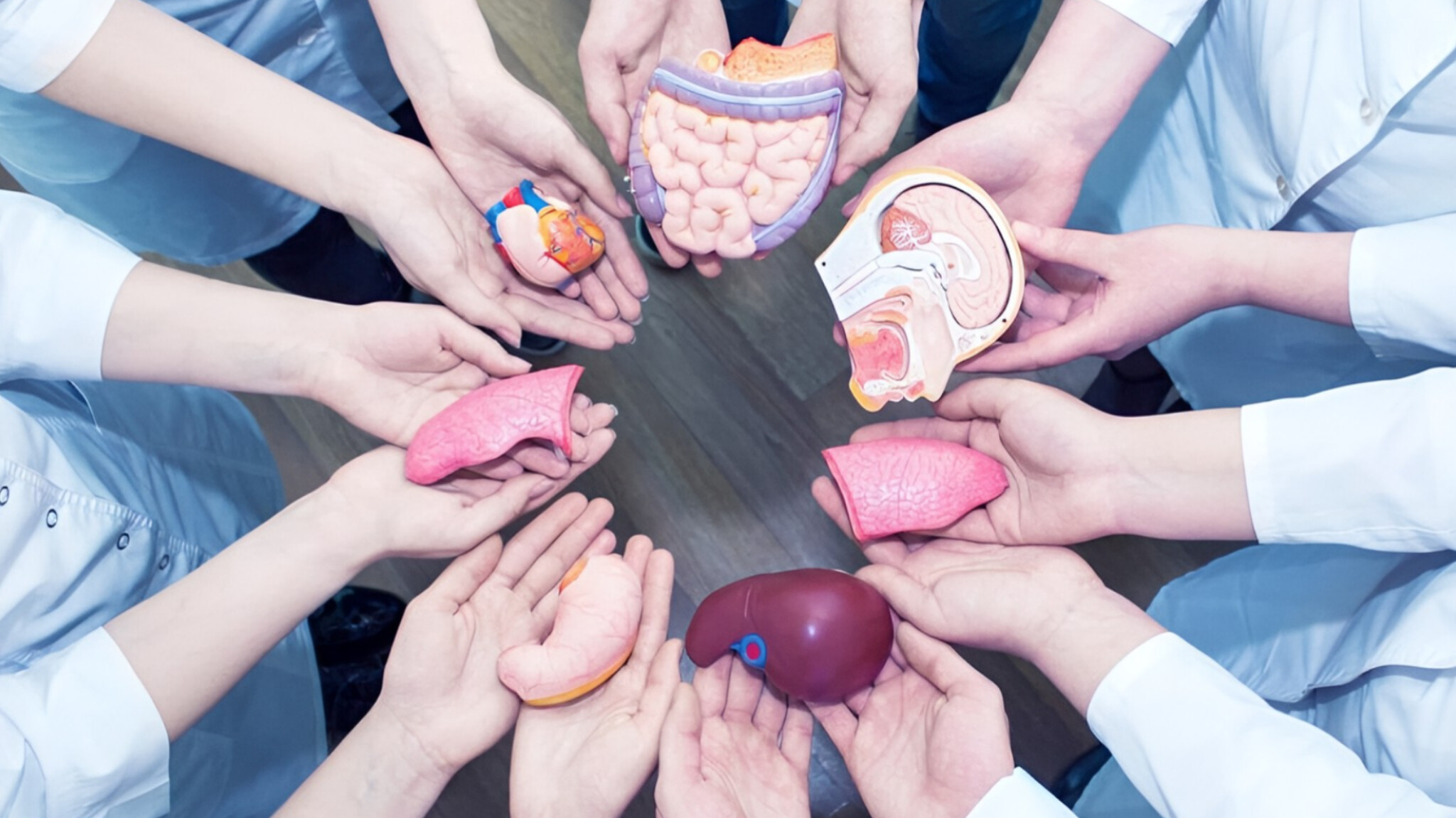 media-inshot_20251105_191636093