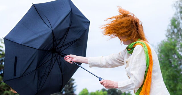 media-inshot_20251202_141815898