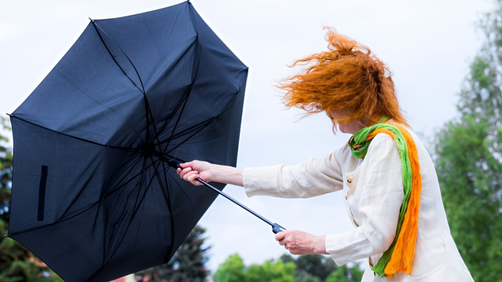 media-inshot_20251202_141815898