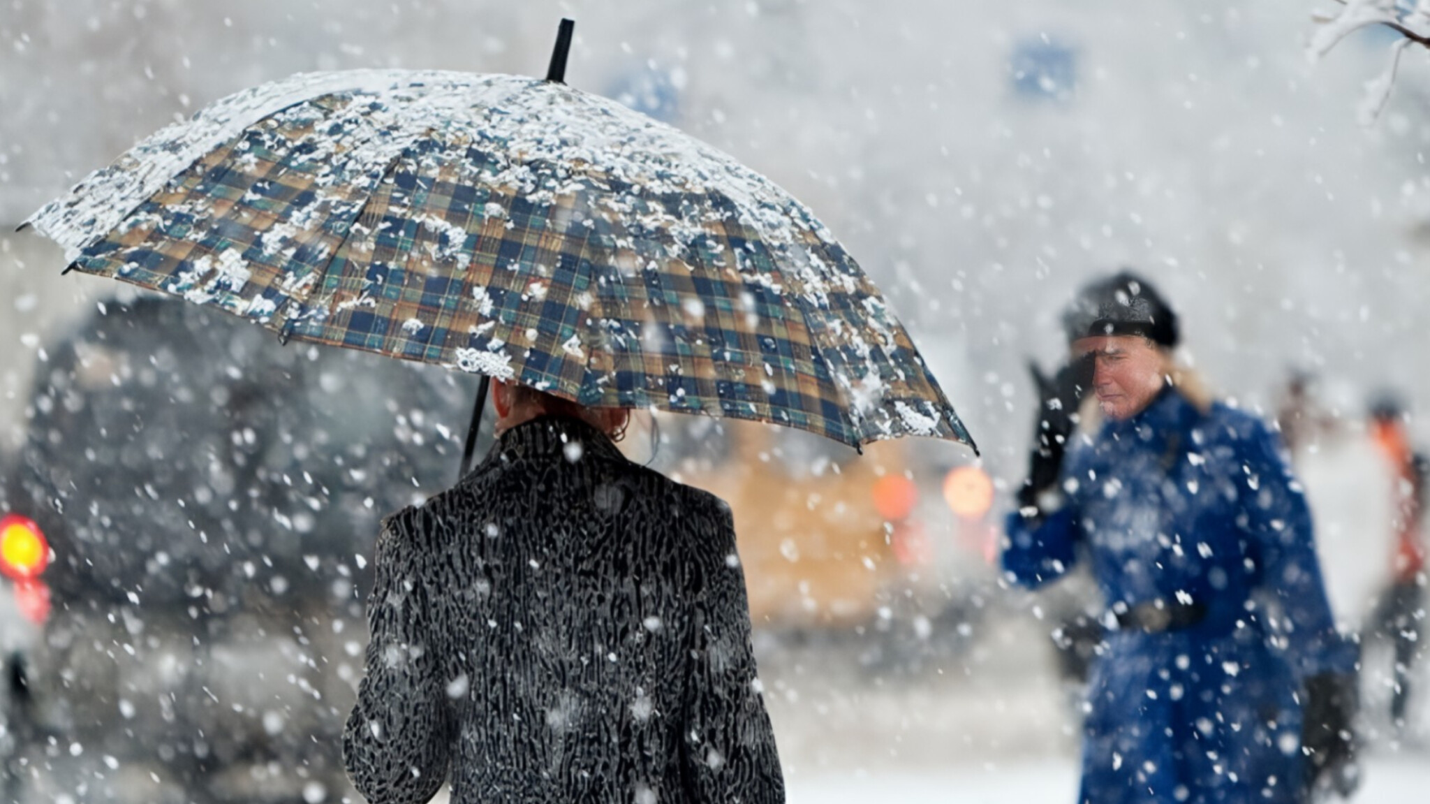 media-inshot_20251203_140856423