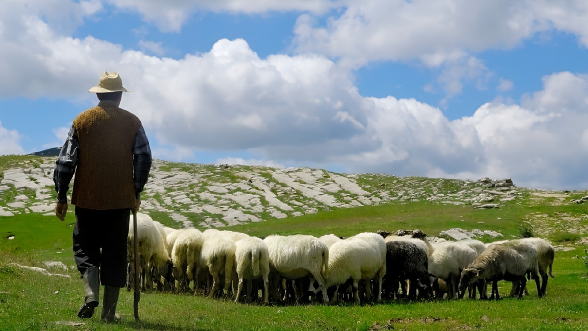 media-inshot_20251203_183703668