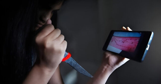 media-inshot_20251204_120502778