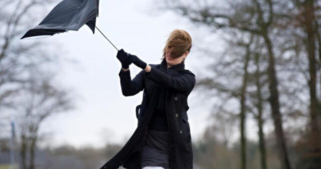 media-inshot_20251212_184606946